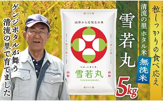 令和7年産 【無洗米】最上町産 ホタル米雪若丸5kg×1袋