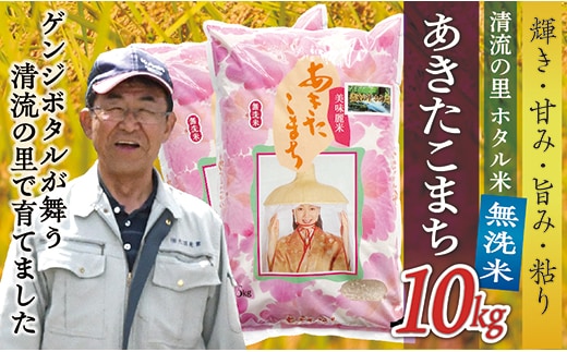 令和7年産 【無洗米】最上町産 あきたこまち 10kg (5kg×2袋)