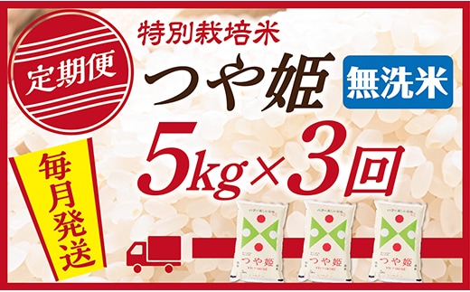 【定期便】【無洗米】 令和7年産 山形県産 つや姫 5kg (5kg×1) 3回配送