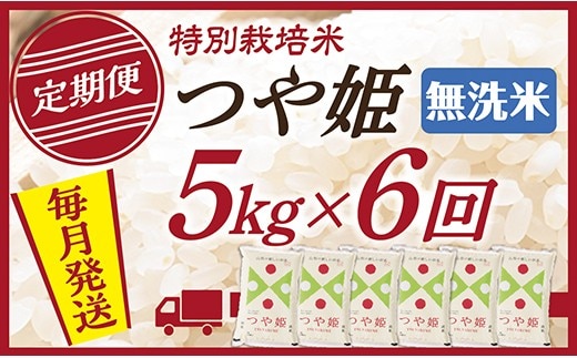 【定期便】【無洗米】令和8年産 山形県産 つや姫 5kg 6回配送 【初回R9年1月発送】