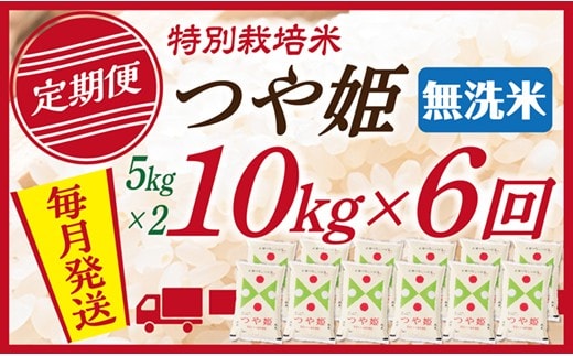 【定期便】【無洗米】令和8年産 山形県産 つや姫 10kg (5kg×2) 6回配送 【初回R9年1月発送】