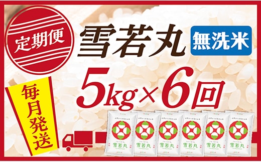 【定期便】【無洗米】 令和8年産予約 山形県産 雪若丸 5kg (5kg×1) 6回配送 【初回R9年1月発送】