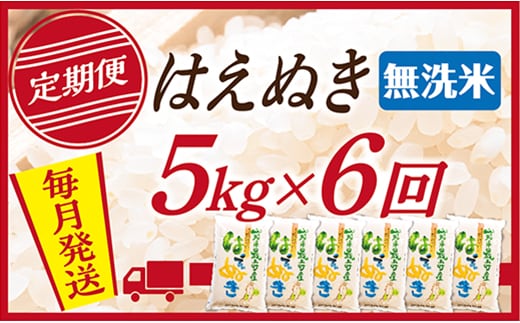 【定期便】【無洗米】令和8年産予約 山形県産 はえぬき 5kg (5kg×1) 6回配送 【初回R9年1月発送】