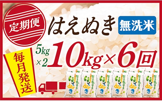 【定期便】【無洗米】令和8年産予約 山形県産 はえぬき 10kg (5kg×2) 6回配送【初回R9年1月発送】