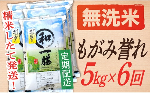 【定期便】【無洗米】 令和8年産予約 もがみ誉れ 5kg (5kg×1) 6回配送 【初回R9年1月発送】