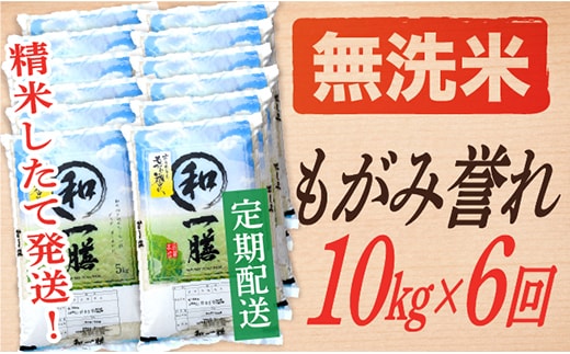 【定期便】【無洗米】 令和8年産予約 もがみ誉れ 10kg (5kg×2) 6回配送 【初回R9年1月発送】