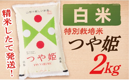 【令和7年産】【白米】山形県産つや姫 2kg