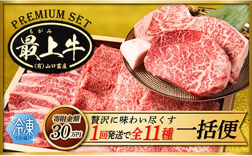 【冷凍】【1回配送で全11種】特選最上牛を一括でお届け within2025