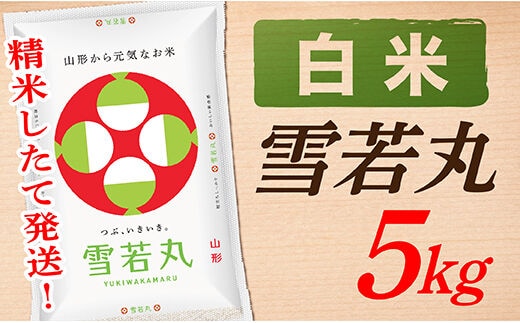 【令和7年産】【白米】山形県産雪若丸5kg