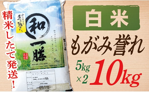 【令和7年産】【白米】山形県産もがみ誉れ10kg