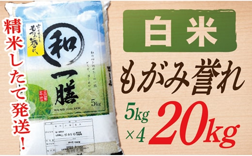 【令和7年産】【白米】山形県産もがみ誉れ20kg