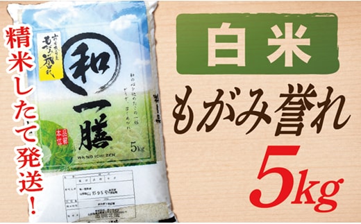 【令和7年産】【白米】山形県産もがみ誉れ5kg