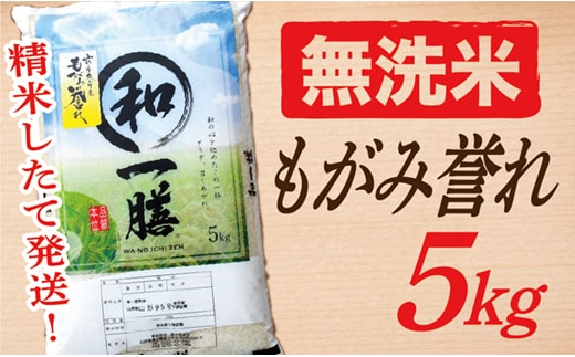 【令和7年産】【無洗米】山形県産もがみ誉れ5kg