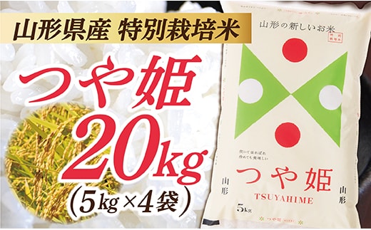 令和8年産予約 山形県産 特別栽培米 つや姫20kg (5kg×4袋)