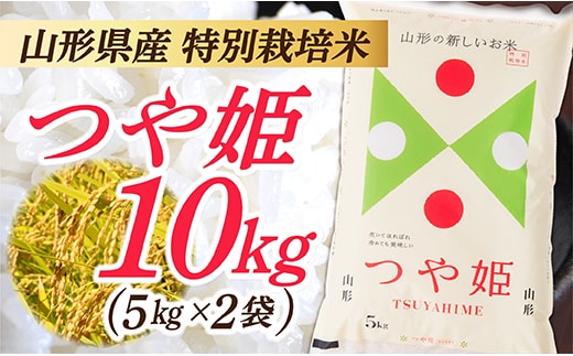 令和7年産 山形県産 特別栽培米 つや姫10kg (5㎏×2袋) within2025
