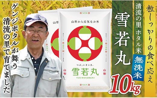 令和7年産 【無洗米】最上町産 ホタル米雪若丸10kg(5kg×2袋)
