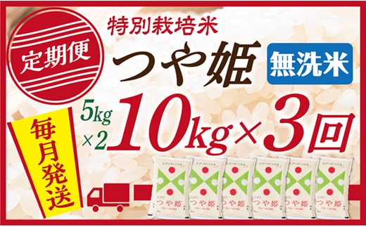【定期便】【無洗米】 令和7年産 山形県産 つや姫 10kg (5kg×2) 3回配送