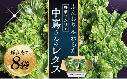 野菜ソムリエ中嶌さんのレタスセット within2025