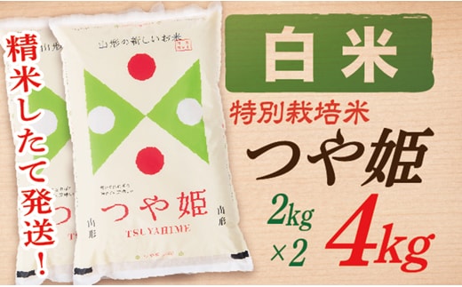 【令和7年産】【白米】山形県産つや姫4kg(2kg×2袋)