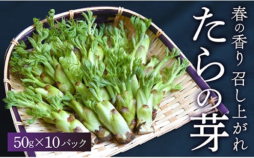 【季節商品】最上町産たらの芽