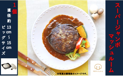 【舟形マッシュルーム】スーパージャンボマッシュルーム（直径約13～15cm） 1個