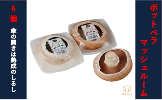 【舟形マッシュルーム】ポットベラマッシュルーム 6個