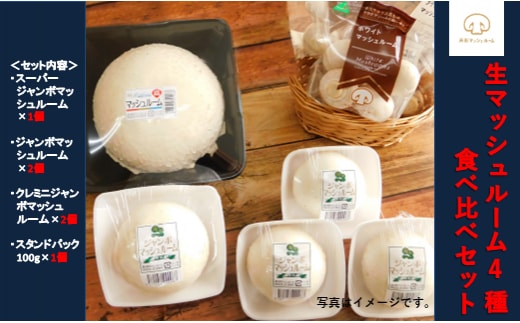 【舟形マッシュルーム】生マッシュルーム4種食べ比べ