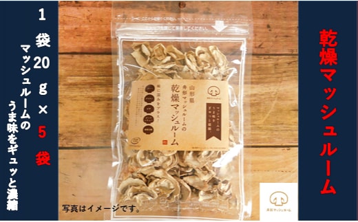 【舟形マッシュルーム】乾燥マッシュルーム 5袋
