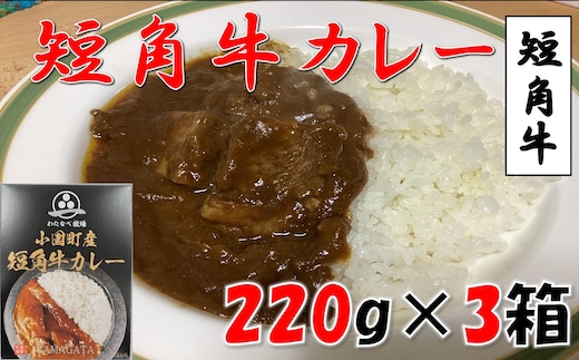 山形県小国町産短角牛カレー 3個セット