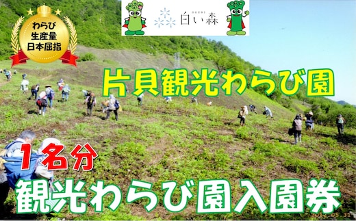 片貝観光わらび園入園券（1名様分）