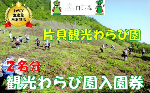 片貝観光わらび園入園券（２名様分）