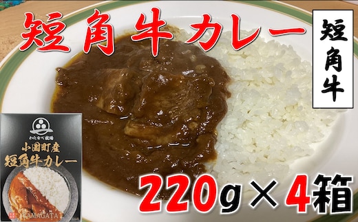 小国短角牛カレー（1人前×4箱）
