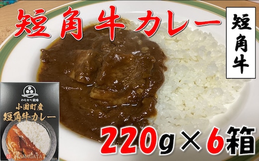 小国短角牛カレー（1人前×6箱）