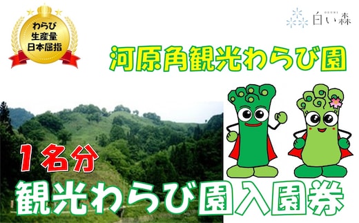 河原角観光わらび園入園券（1名様分）