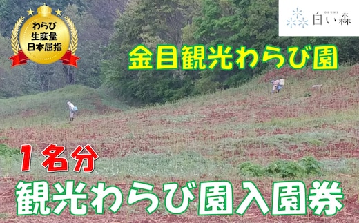 金目観光わらび園入園券（１名様分）