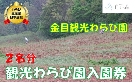 金目観光わらび園入園券（２名様分）