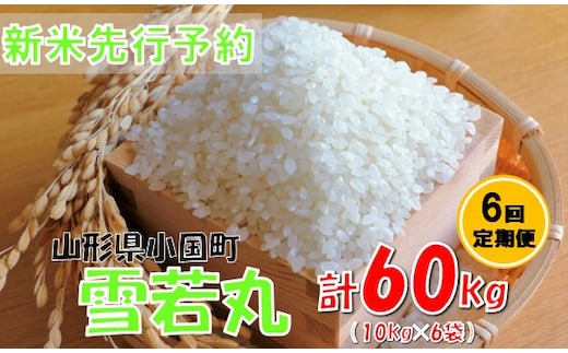【6回定期便】【令和８年産米 先行予約】雪若丸10kg 計60kg おぐにのこめ