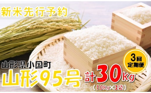 【3回定期便】【令和８年産米 先行予約】山形95号10kg 計30kg おぐにのこめ