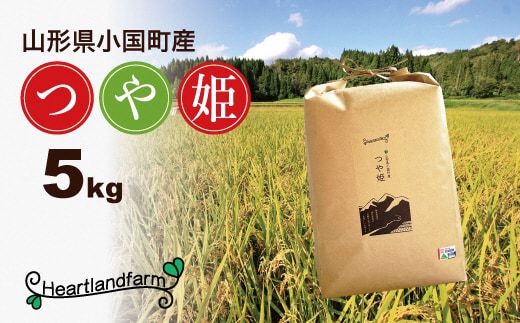 【令和８年産 新米】山形県小国町産 つや姫5kg 小国地産