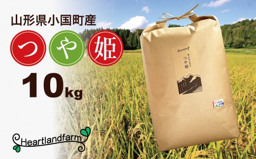 【令和８年産 新米】山形県小国町産 つや姫10kg 小国地産