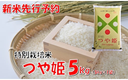 【令和7年新米 先行予約】山形県小国町産 つや姫5kg 小国米穀商業協同組合