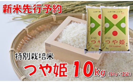 【令和7年新米 先行予約】山形県小国町産 つや姫10kg（5kg×2袋） 小国米穀商業協同組合