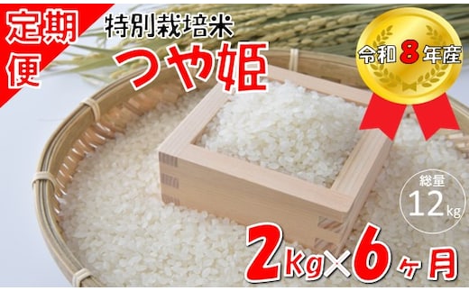 【6回定期便】山形県小国町産 つや姫2kg 計12kg 小国米穀商業協同組合
