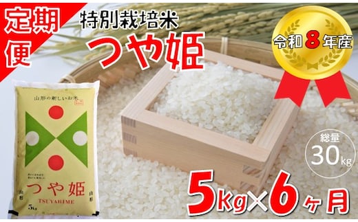 【6回定期便】山形県小国町産 つや姫5kg 計30kg 小国米穀商業協同組合