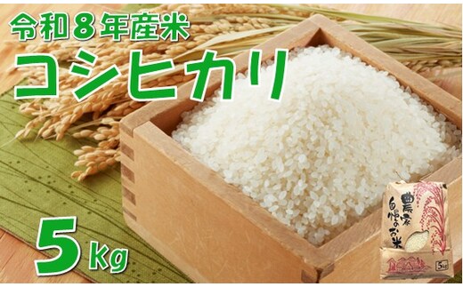 【令和８年産 新米】コシヒカリ5kg 佐藤