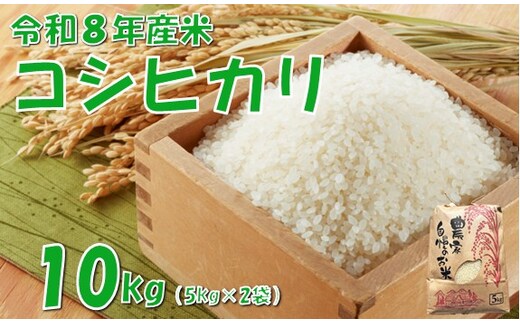 【令和８年産 新米】コシヒカリ10kg 佐藤