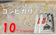 【令和6年産】コシヒカリ10kg（5kg×2袋）　