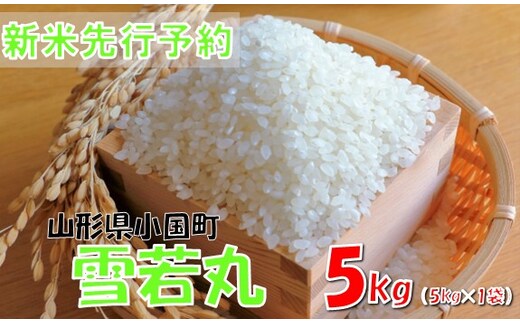 【令和８年産米 先行予約】雪若丸5kg(5kg×1袋) おぐにのこめ