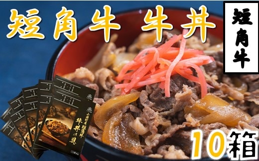 短角牛牛丼の具（1人前×10箱）