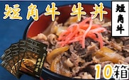 短角牛牛丼の具（1人前×10箱）